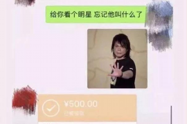 金湖如果欠债的人消失了怎么查找，专业讨债公司的找人方法